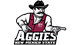 New Mexico State